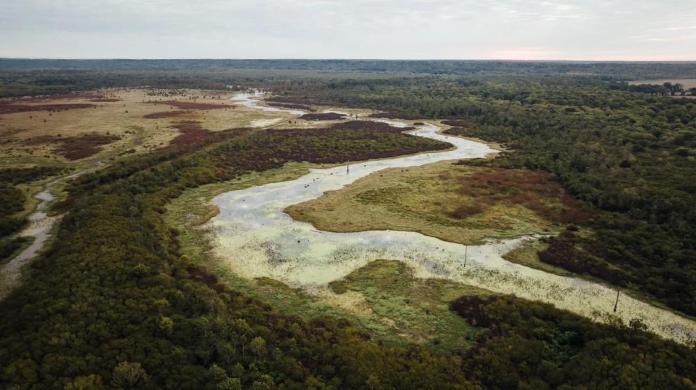 MS Five Star Hunting Club on 1 445 Acres in Carroll County MS featured image