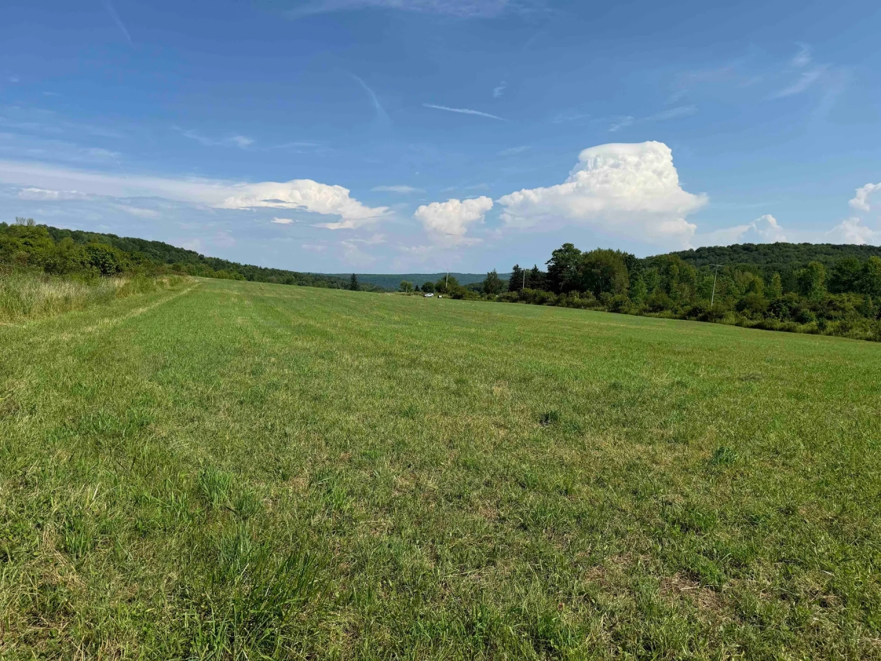 5 acres Corner Lot Building Lot and Recreational Land in Friendship NY