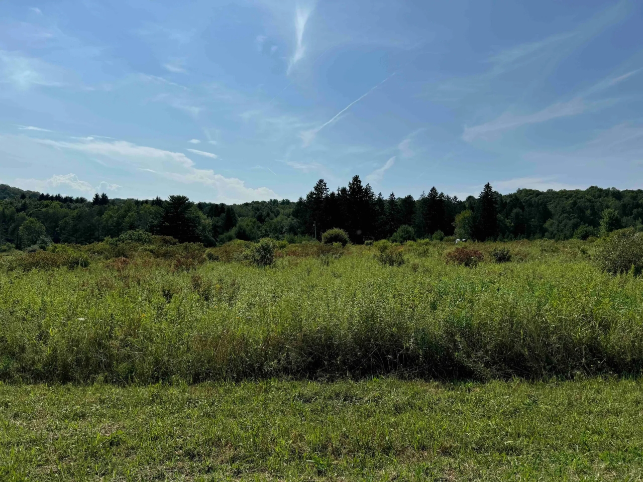 5 acres Corner Lot Building Lot and Recreational Land in Friendship NY