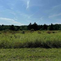 5 acres Corner Lot Building Lot and Recreational Land in Friendship NY White Creek Rd Lot 7 with Owner Financing Available images 4