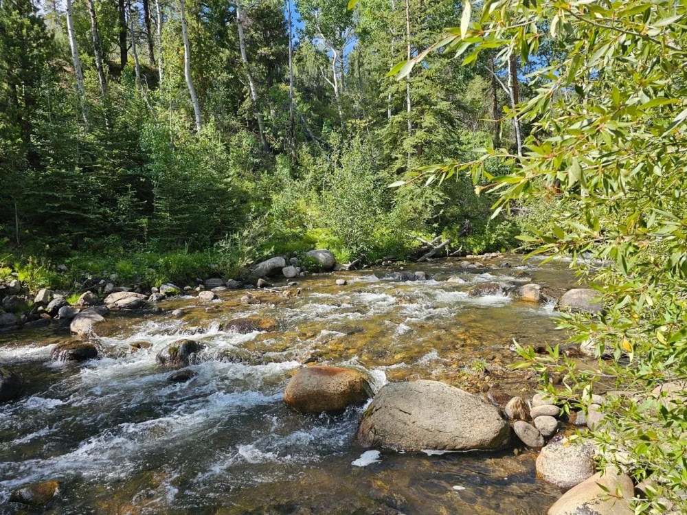 Salida Colorado Riverfront Lot 19039 Monarch River Dr featured image