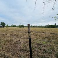 19.42 Acres located on Lee Road in Franklinton LA images 4