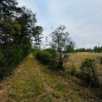 19.42 Acres located on Lee Road in Franklinton LA images 5