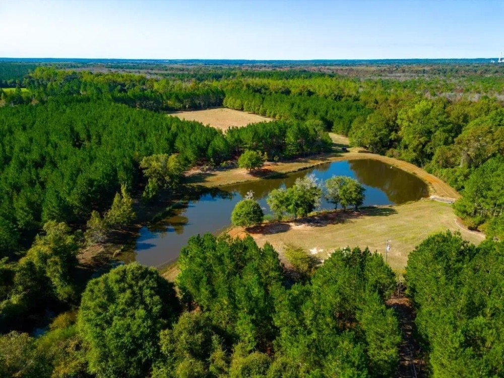 Buck Island Farm featured image