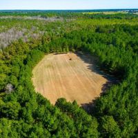 Buck Island Farm images 4