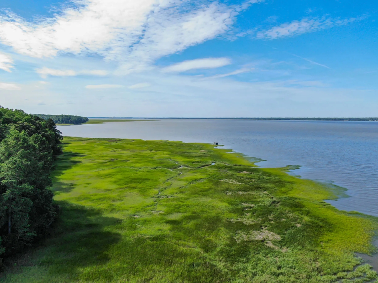 Stonehouse Preserve Hunting Land for Sale