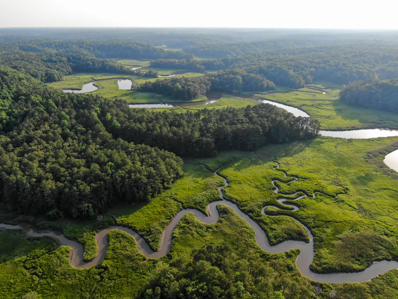 Stonehouse Preserve Hunting Land for Sale
