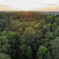 Stonehouse Preserve images 4