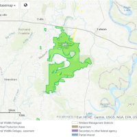 80,000 acres Deer Hunting, Tensas River NWR in Madison Parish, LA images 3