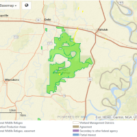 80,000 acres Deer Hunting, Tensas River NWR in Madison Parish, LA images 4