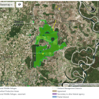 80,000 acres Deer Hunting, Tensas River NWR in Madison Parish, LA images 6