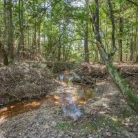Turnkey Hunting Property Connected to Caston Creek WMA images 2