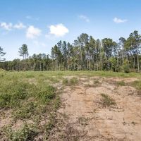 Turnkey Hunting Property Connected to Caston Creek WMA images 3