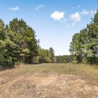 Turnkey Hunting Property Connected to Caston Creek WMA images 4