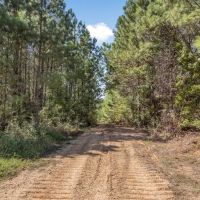 Turnkey Hunting Property Connected to Caston Creek WMA images 5