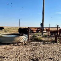 Texas County Quarter Along Cow Creek images 4