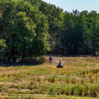 Sadler Ranch images 2