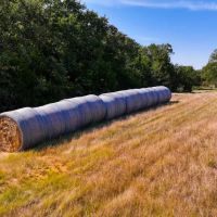 Sadler Ranch images 5