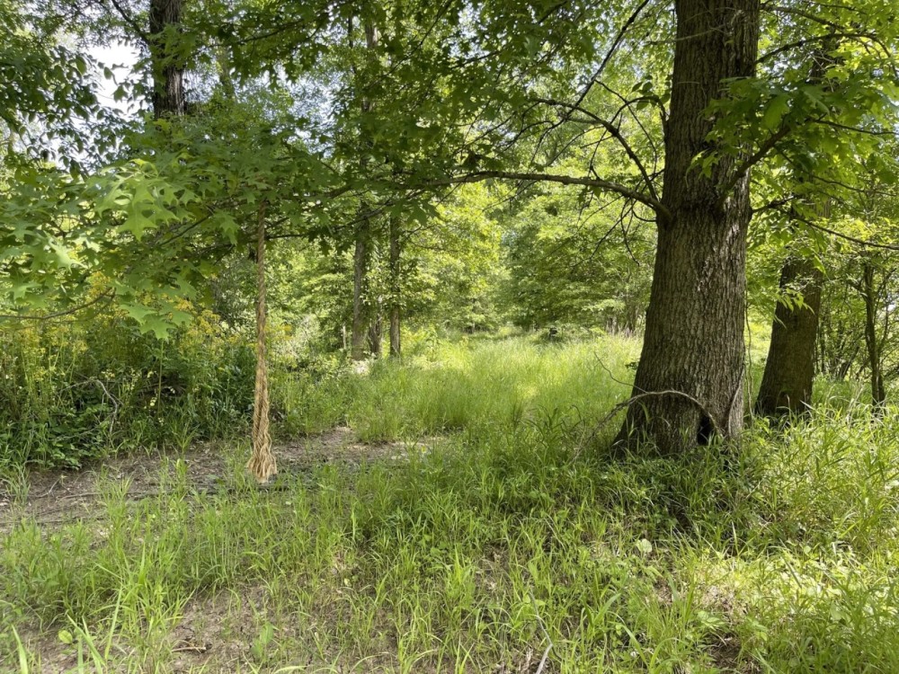 000 Stiritz Rd West Frankfort featured image