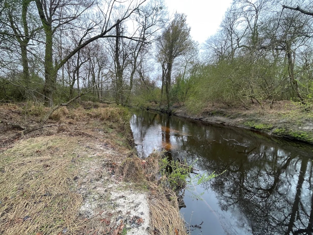 Recreational And Hunting Property Hunting Land for Sale