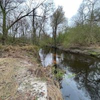 Recreational And Hunting Property