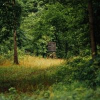 One Equity Share at Hardin Point Hunting Club in Lee County AR images 5