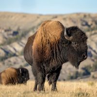White River Ranch images 2