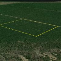 Oversized Hunting Tract At Pocosin Farms images 2