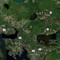 Oversized Hunting Tract At Pocosin Farms images 3