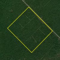 Oversized Hunting Tract At Pocosin Farms images 4