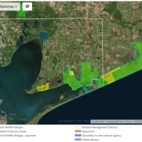 Waterfowl Hunting Anahuac NWR OF 37,000 Acres in Chambers, TX images 5