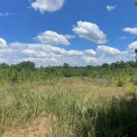 State Line Road Tract images 3