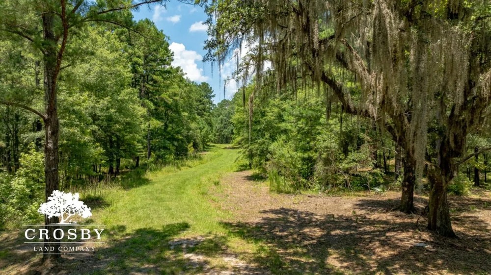 Old Chelsea Hazzard Creek featured image