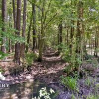 Old Chelsea Hazzard Creek images 2