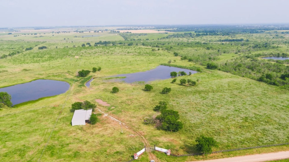50 Acres in Milam COunty featured image