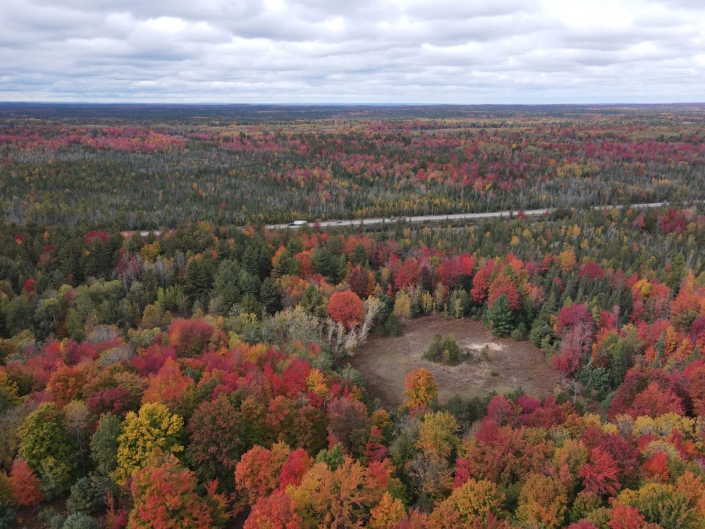 53 - Acres Great for Deer Camp or Buildable Kalkaska MI featured image