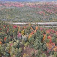 53 - Acres Great for Deer Camp or Buildable Kalkaska MI images 2