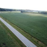 Red Oak Road Tillable Farm With Development Potential Lot 3