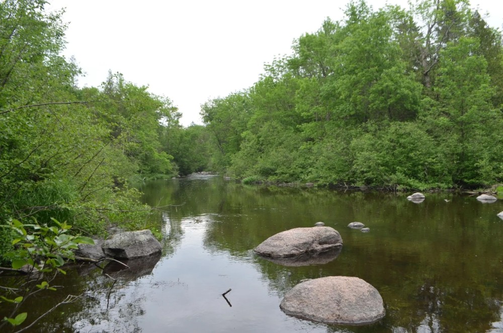Unique hunting fishing recreational investment buildable property Marathon County WI featured image