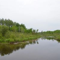 Unique hunting fishing recreational investment buildable property Marathon County WI images 2