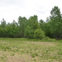 Unique hunting fishing recreational investment buildable property Marathon County WI images 4
