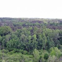 Weaver Tract images 2