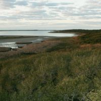 Aransas NWR of 153,950 Acres Waterfownl Hunting Land in Aransas, TX