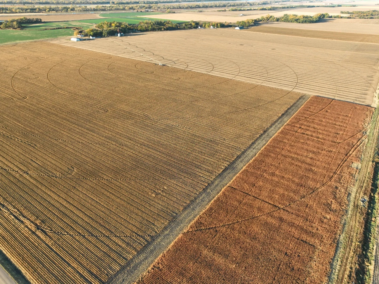 Else Farm Parcel 1 Hunting Land for Sale