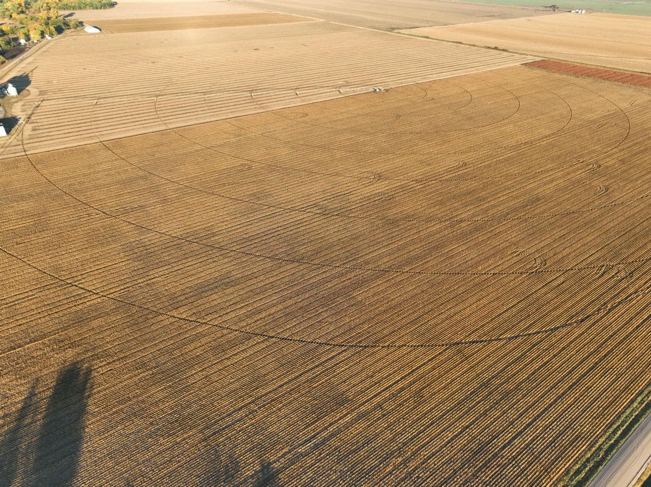 Else Farm Parcel 1 Hunting Land for Sale