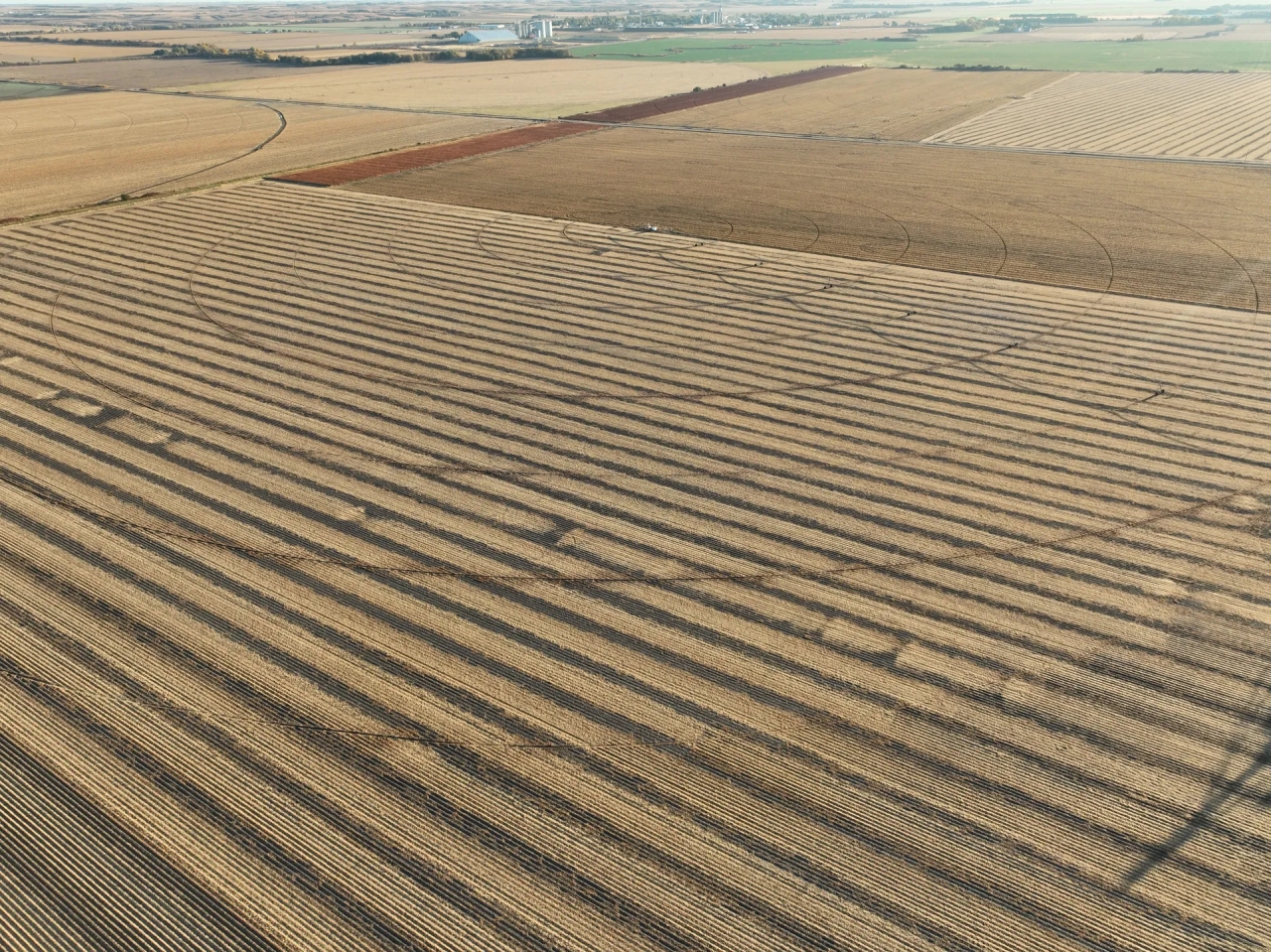 Else Farm Parcel 1 Hunting Land for Sale