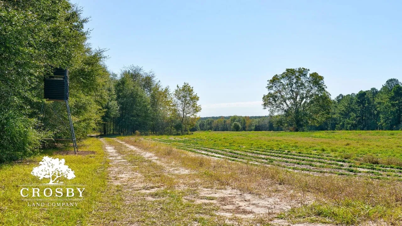 Brown Mobley Tract Hunting Land for Sale