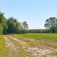 Brown Mobley Tract
