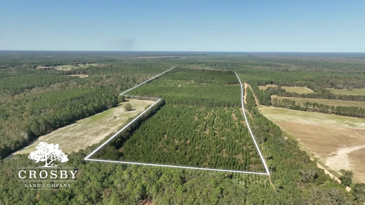 Brown Mobley Tract Hunting Land for Sale