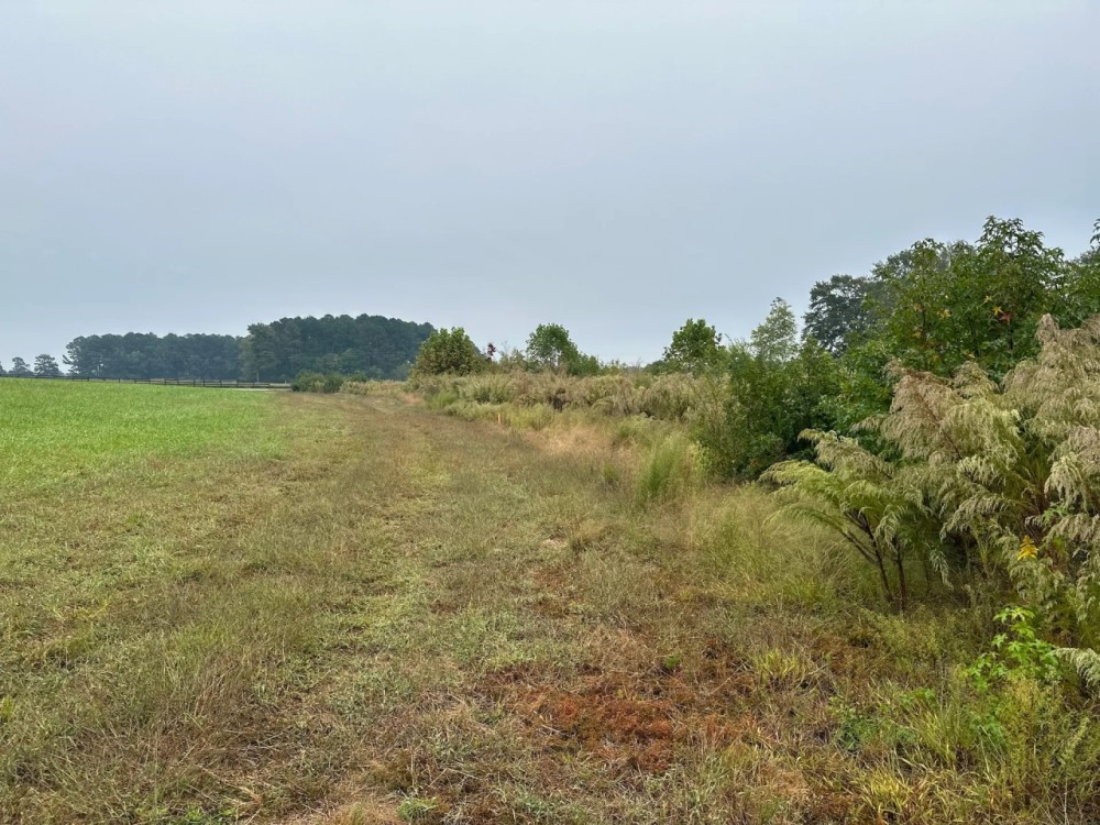Social Plains Rd Mini Farm Lot 1 Hunting Land for Sale
